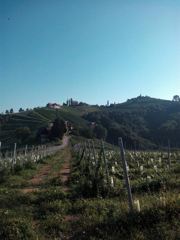 Gaestehaus Grasch Kitzeck im Sausal Luaran gambar
