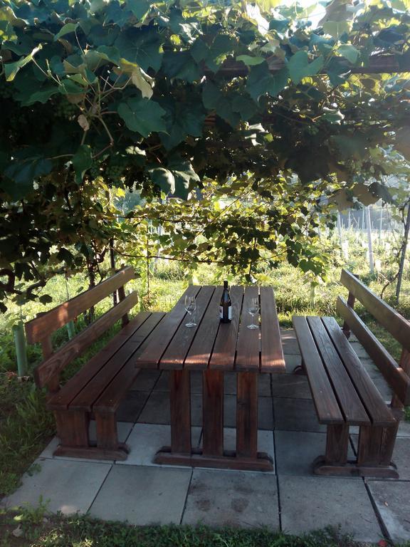 Gaestehaus Grasch Kitzeck im Sausal Luaran gambar