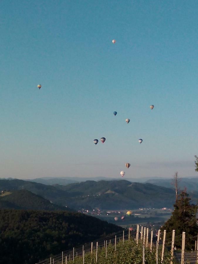 Gaestehaus Grasch Kitzeck im Sausal Luaran gambar